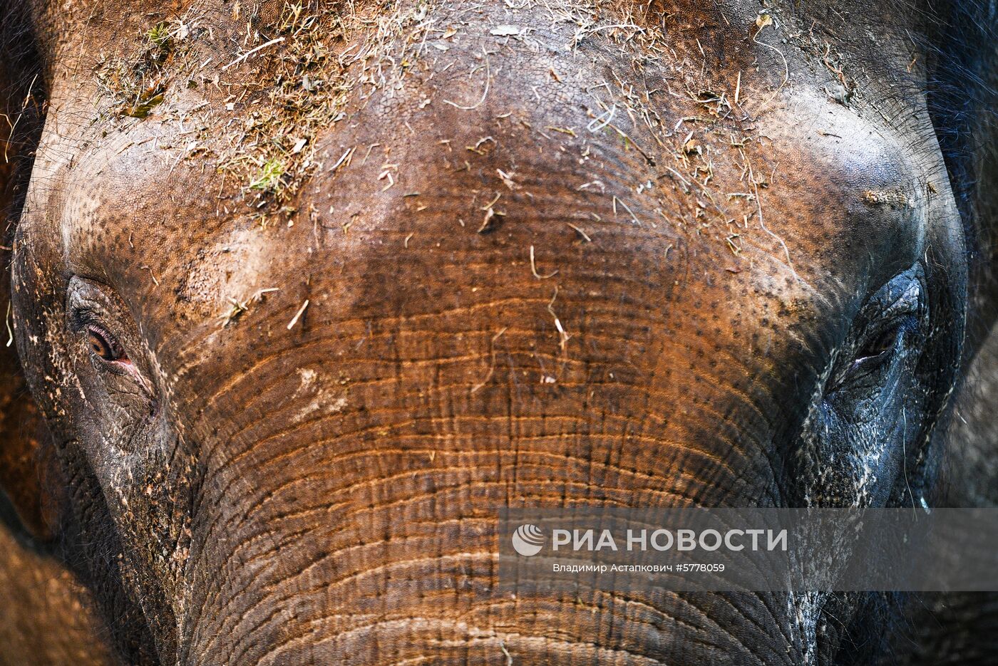 Московский зоопарк