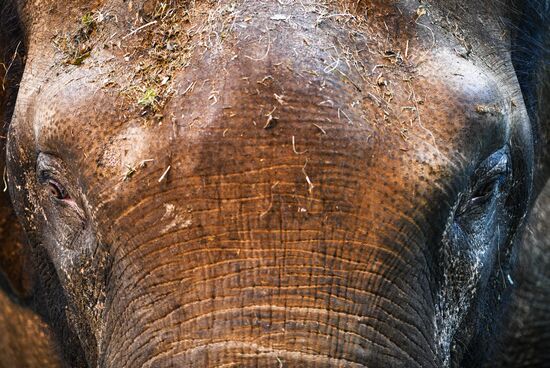 Московский зоопарк