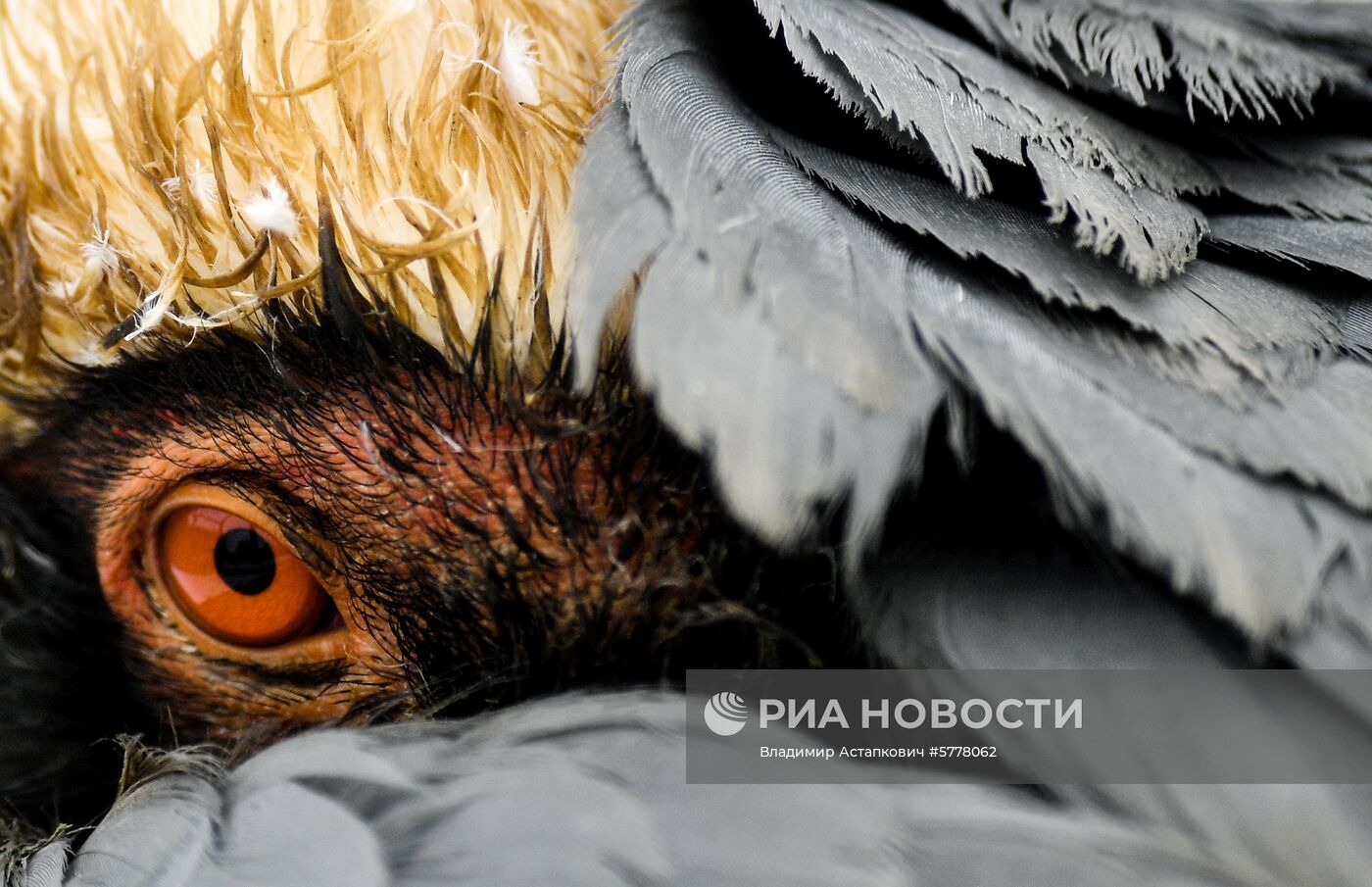 Московский зоопарк