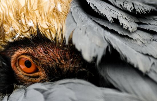 Московский зоопарк