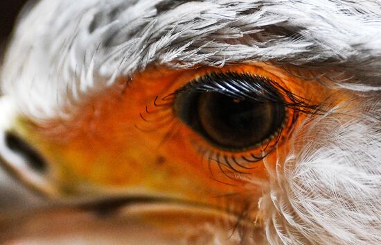 Московский зоопарк