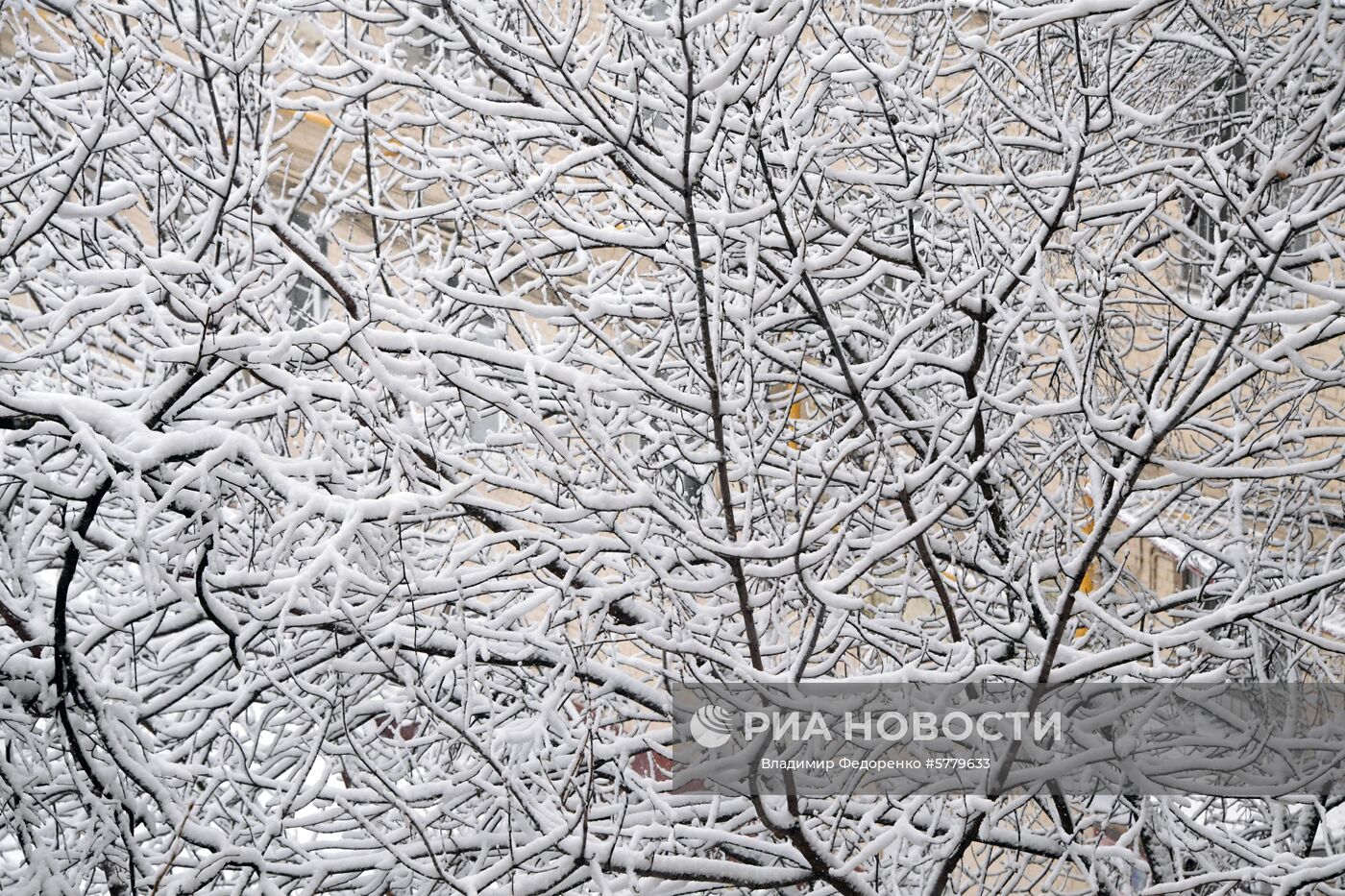 Снегопад в Москве