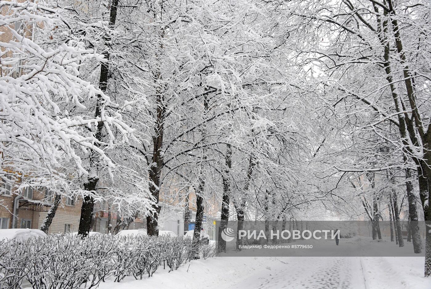Снегопад в Москве