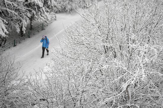 Снегопад в Москве