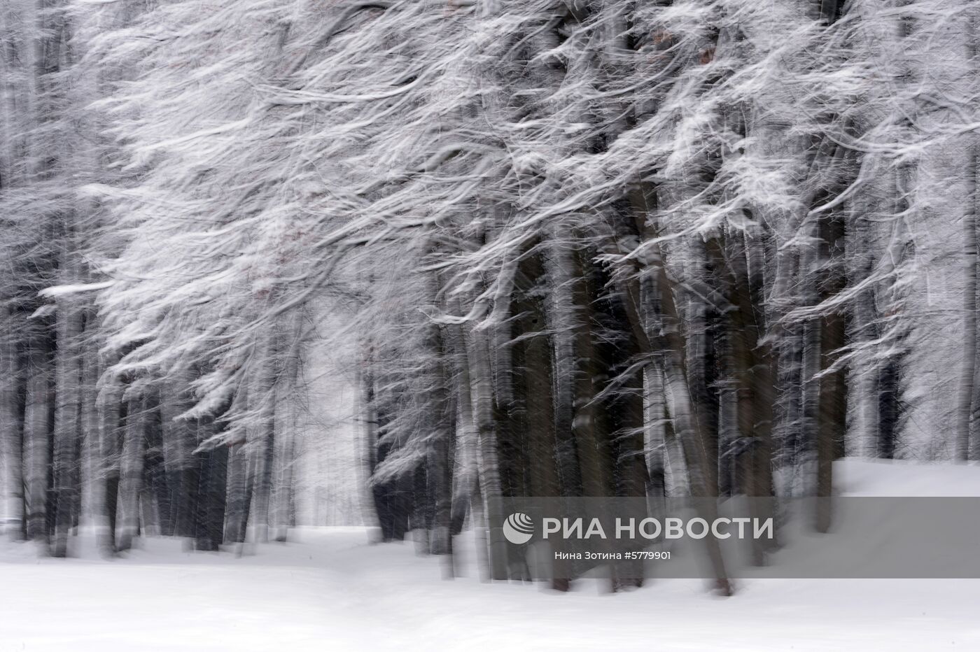Снегопад в Москве