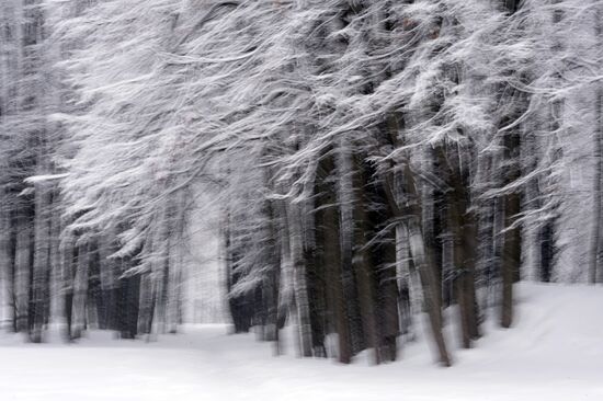 Снегопад в Москве