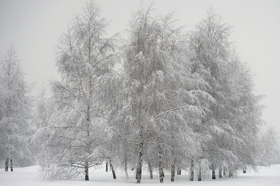 Снегопад в Москве