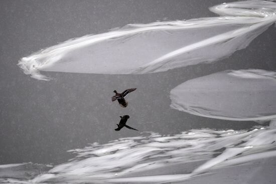 Снегопад в Москве