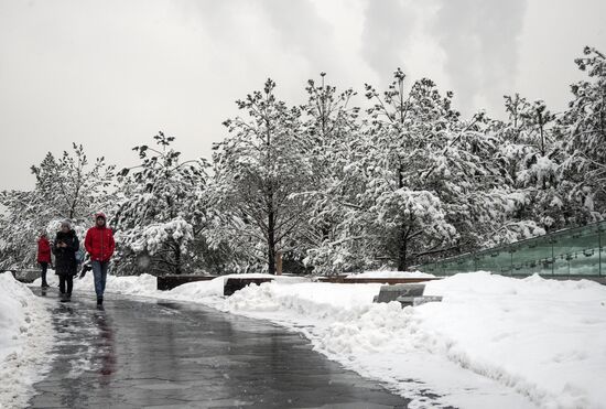 Снегопад в Москве
