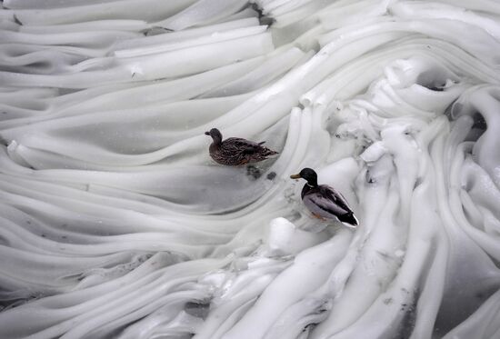 Снегопад в Москве