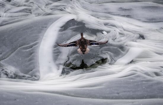 Снегопад в Москве
