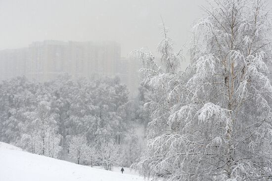 Снегопад в Москве