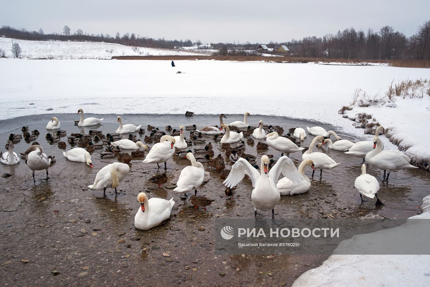 Города России. Псков, Изборск, Печоры