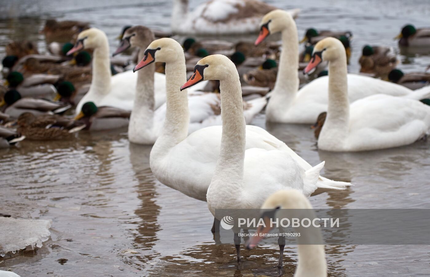 Города России. Псков, Изборск, Печоры