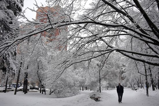 Снегопад в Москве