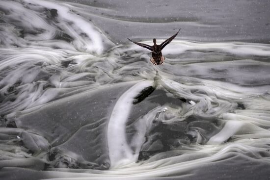 Снегопад в Москве