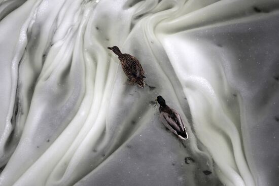 Снегопад в Москве