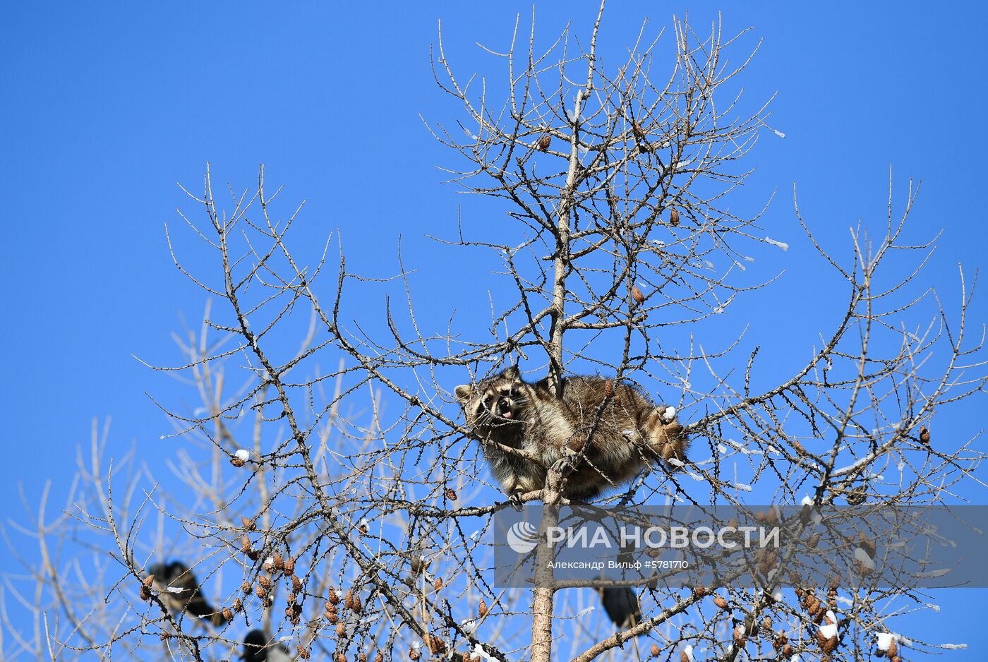 День влюбленных в природу в Московском зоопарке