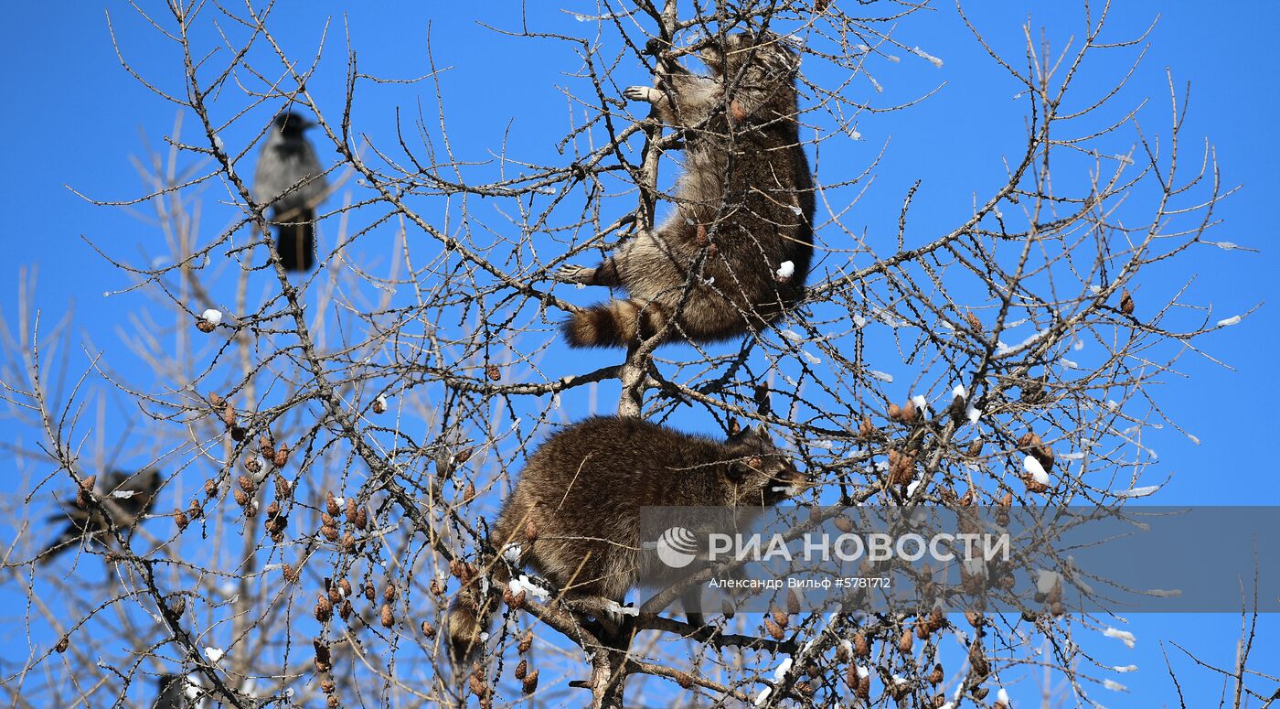 День влюбленных в природу в Московском зоопарке