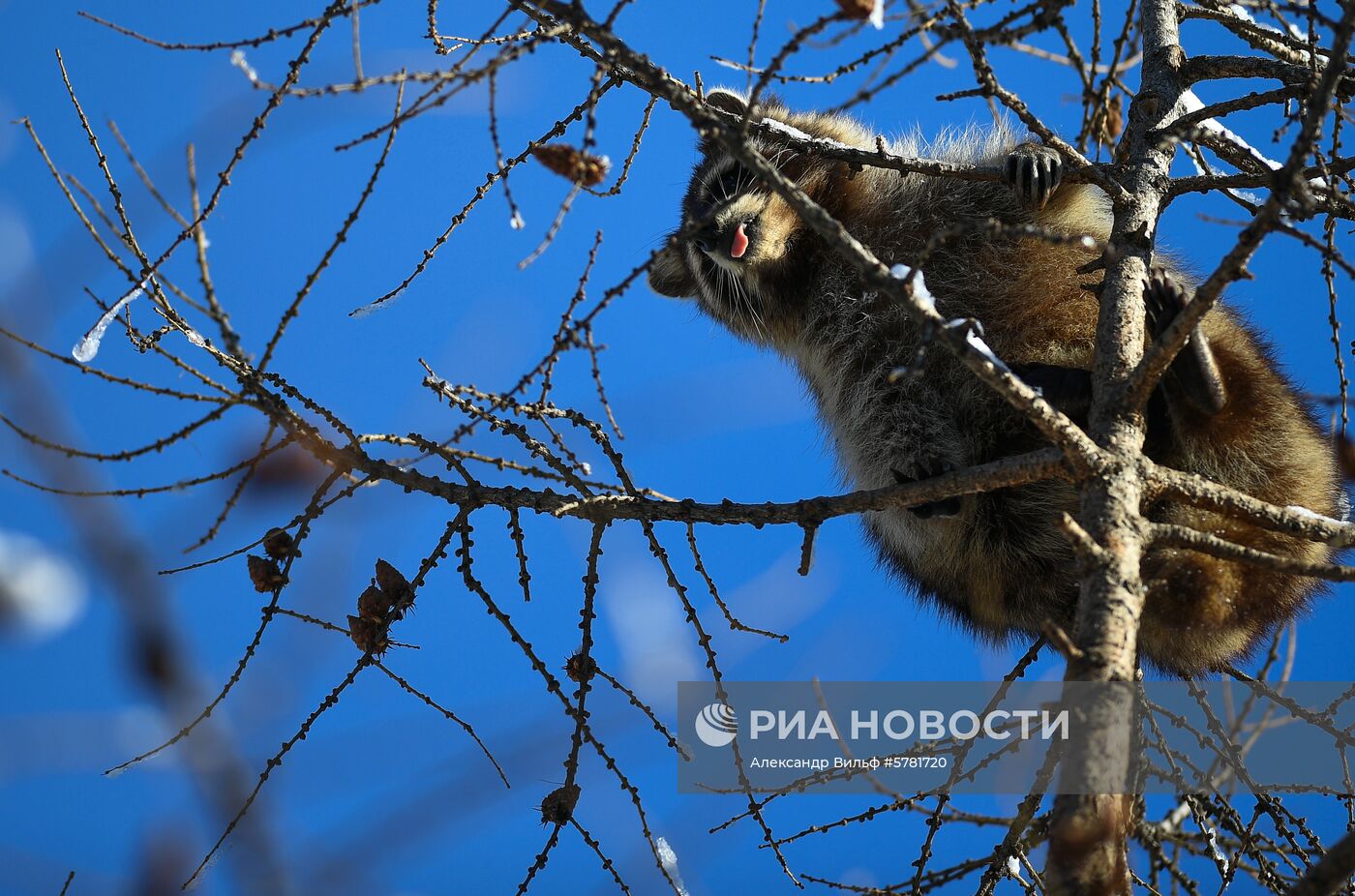 День влюбленных в природу в Московском зоопарке