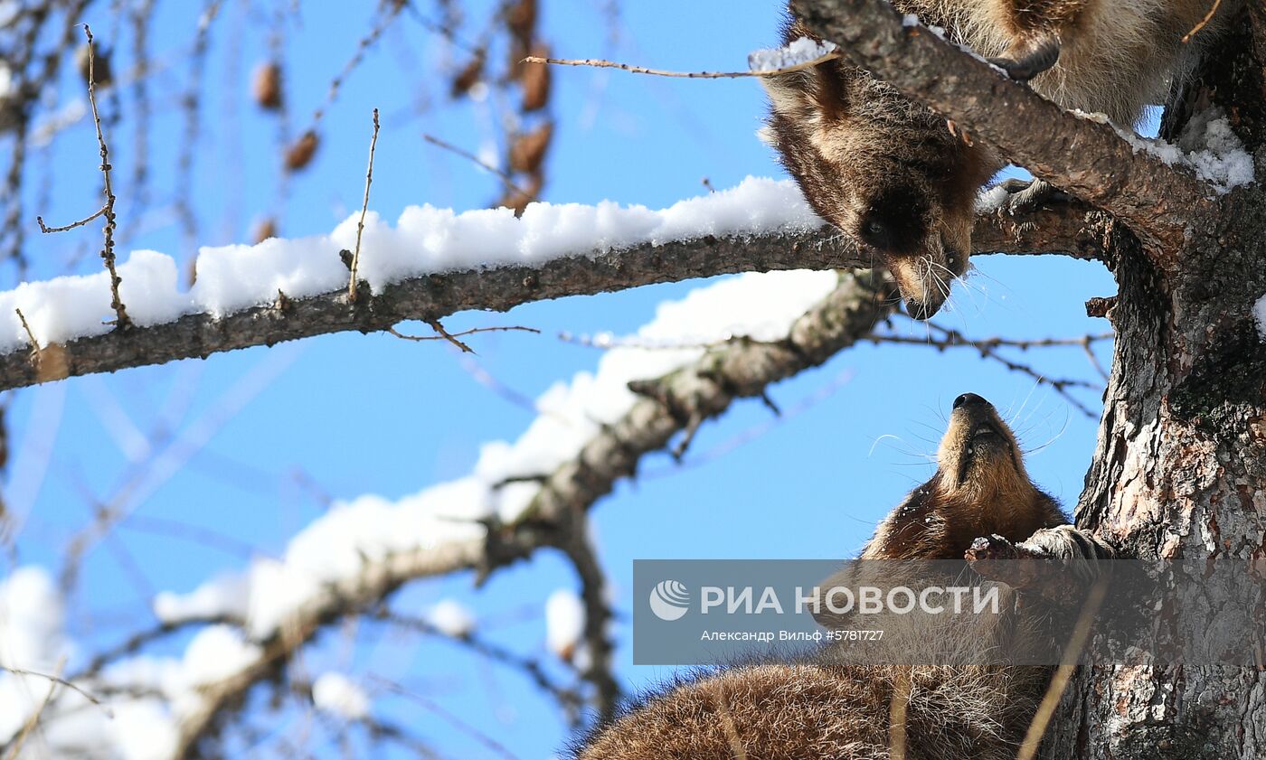 День влюбленных в природу в Московском зоопарке