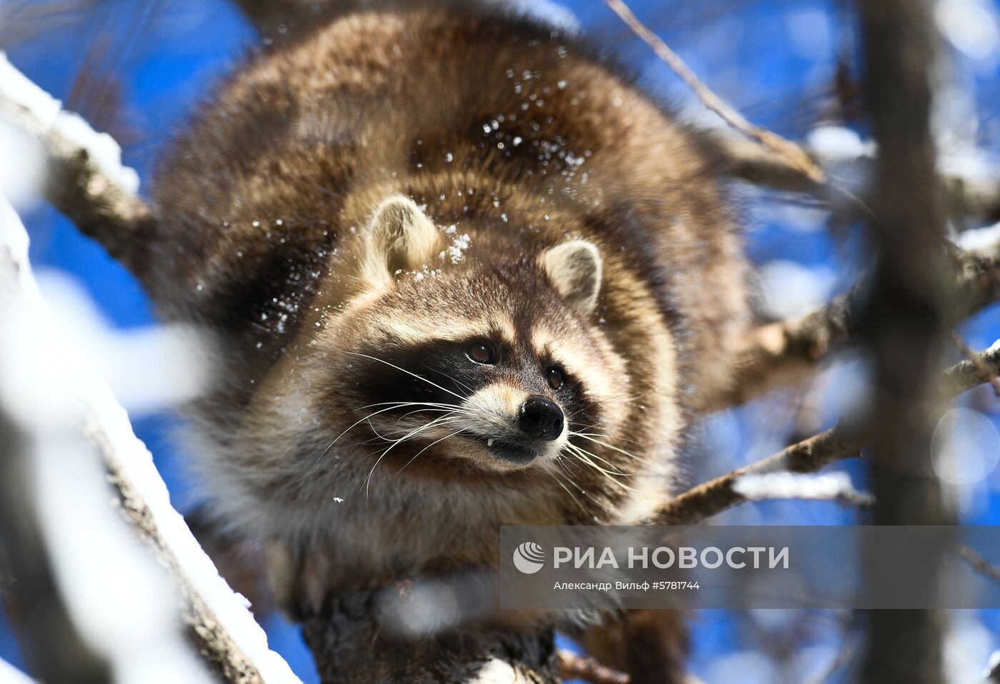 День влюбленных в природу в Московском зоопарке