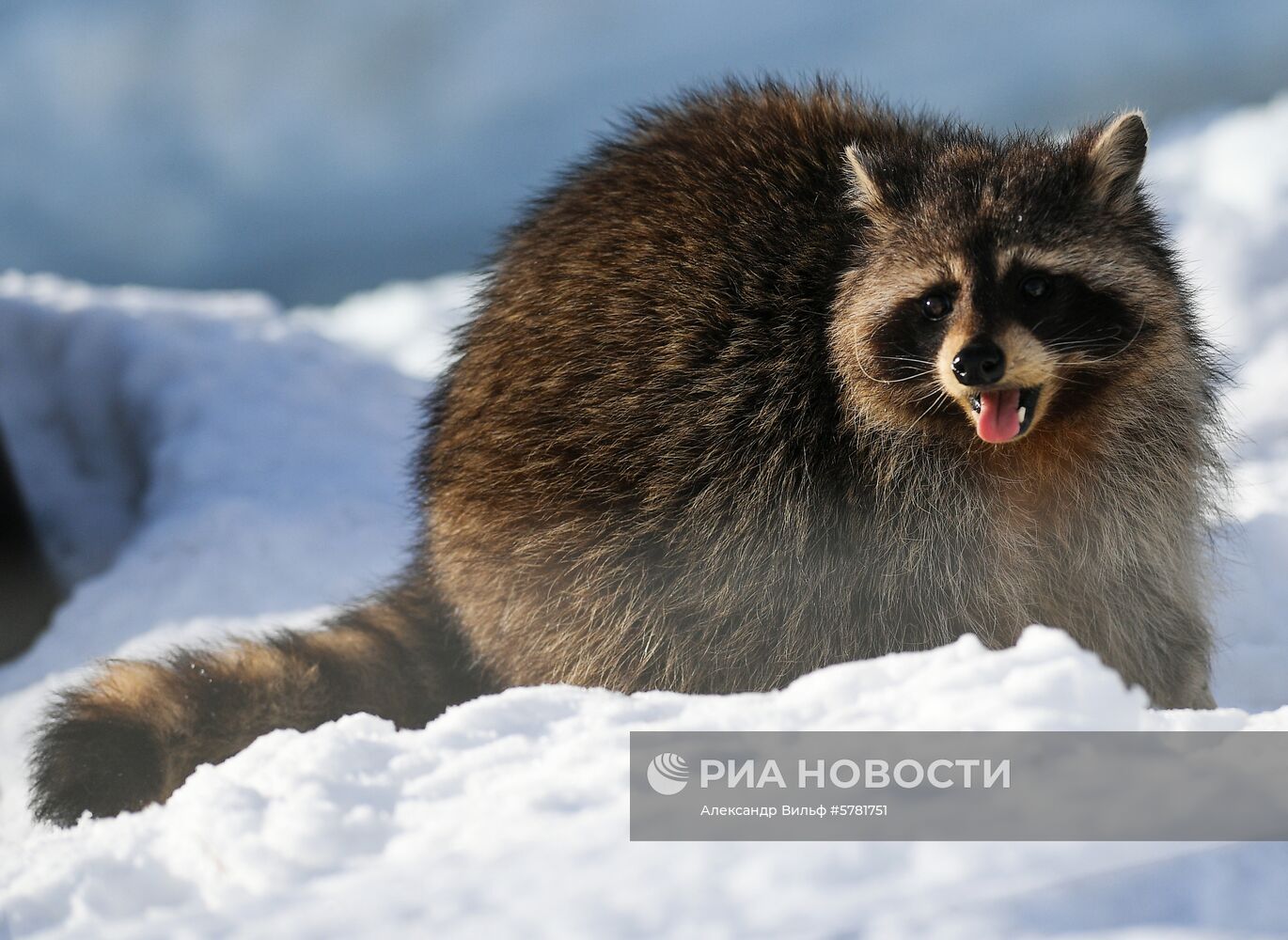 День влюбленных в природу в Московском зоопарке