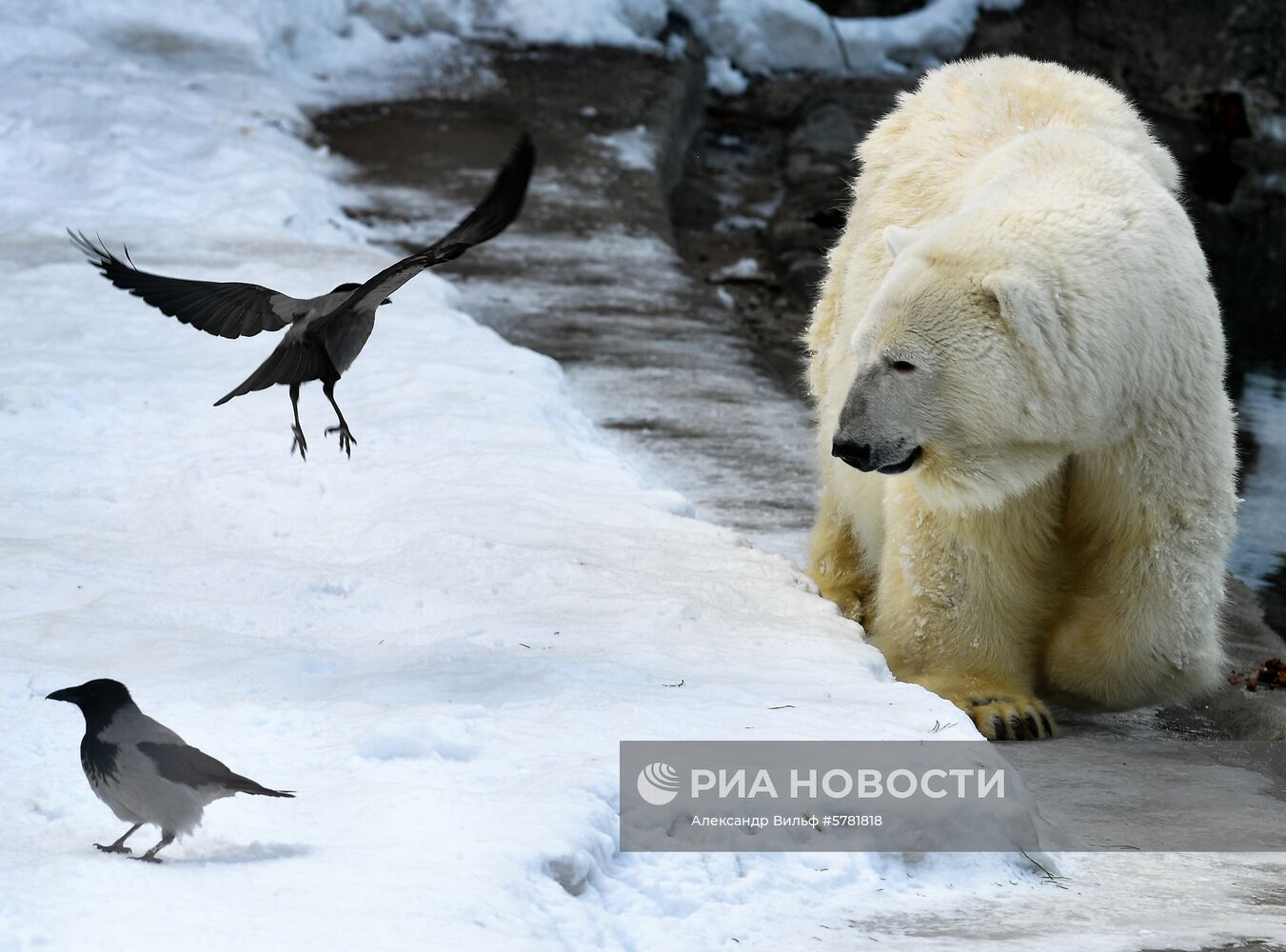 День влюбленных в природу в Московском зоопарке