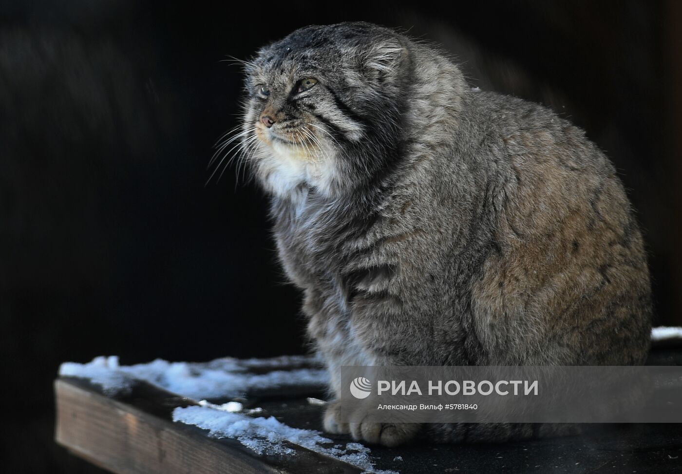 День влюбленных в природу в Московском зоопарке