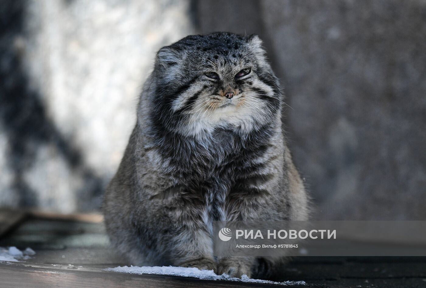 День влюбленных в природу в Московском зоопарке