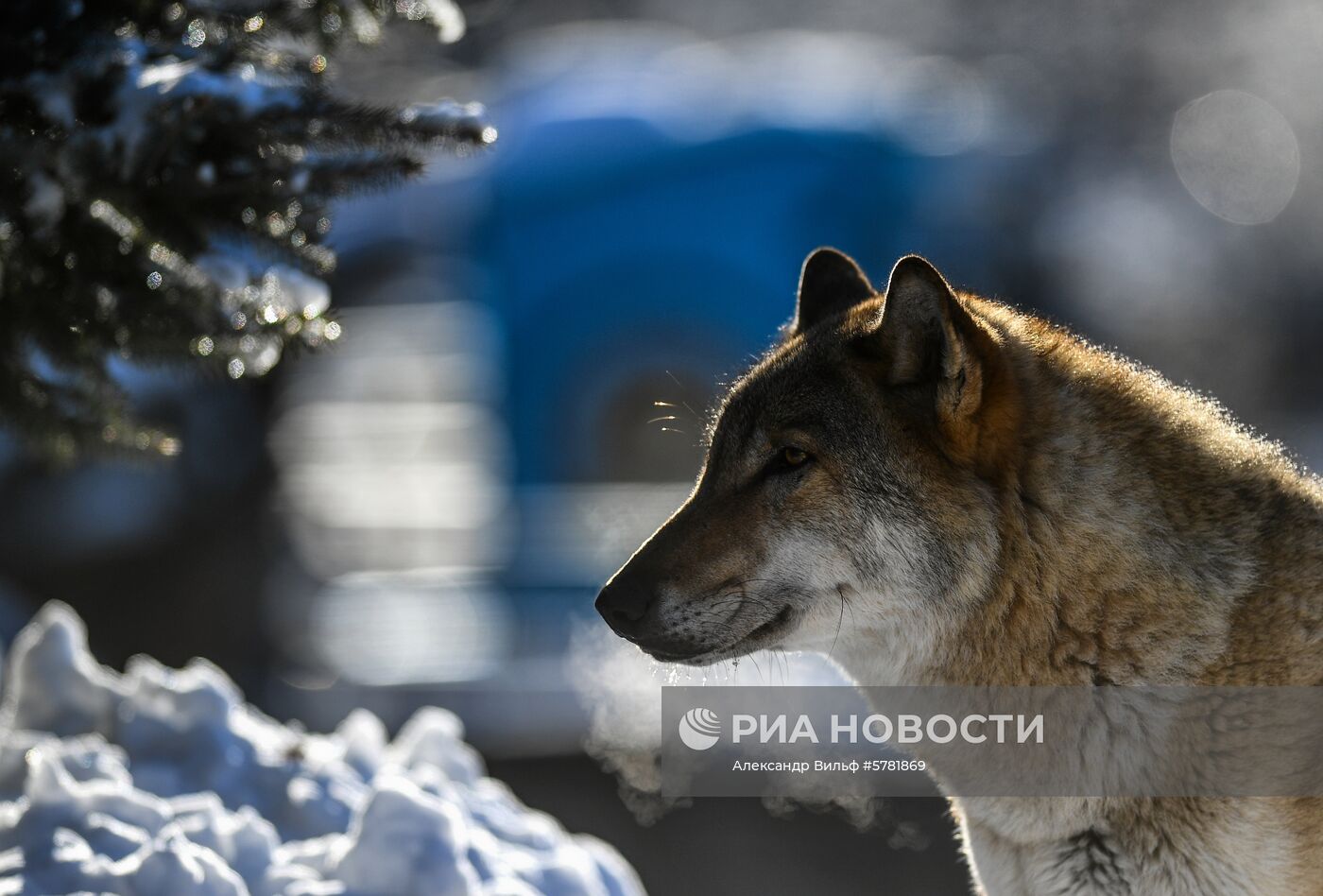 День влюбленных в природу в Московском зоопарке