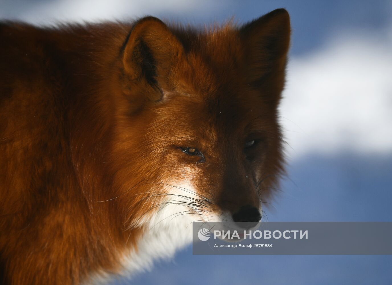 День влюбленных в природу в Московском зоопарке