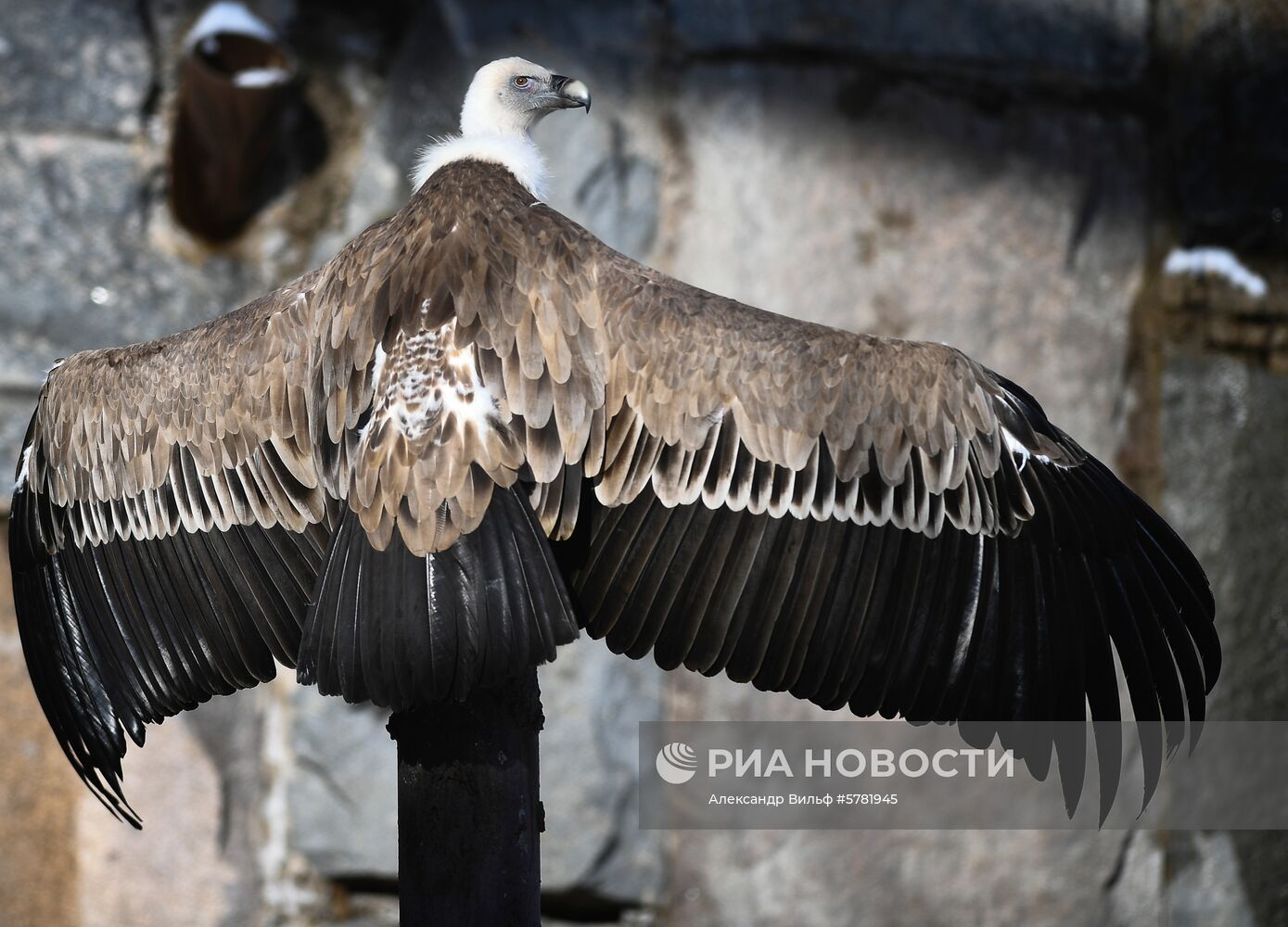 День влюбленных в природу в Московском зоопарке