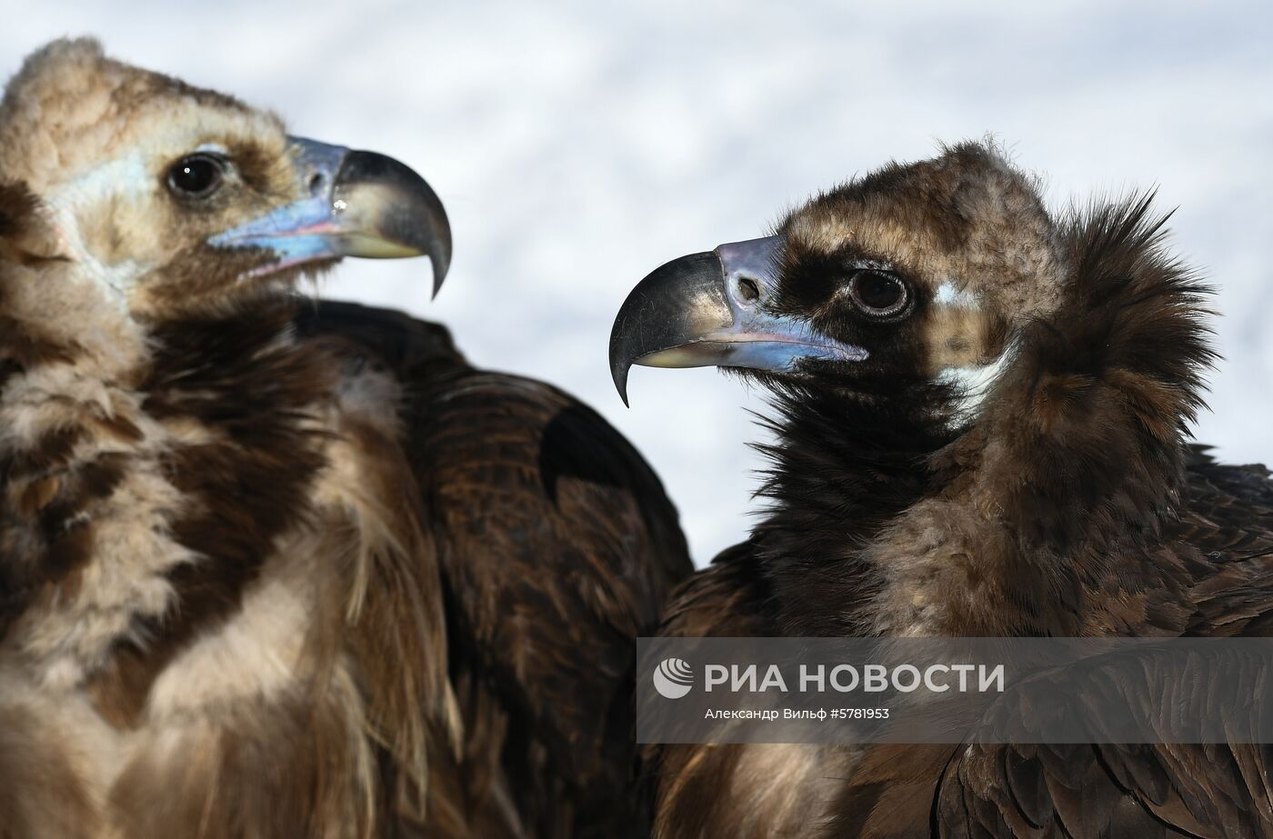 День влюбленных в природу в Московском зоопарке