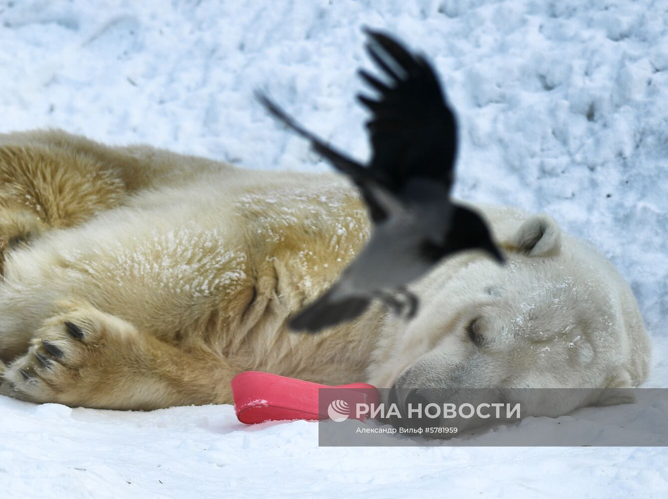 День влюбленных в природу в Московском зоопарке