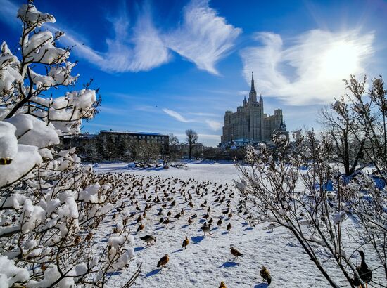 День влюбленных в природу в Московском зоопарке