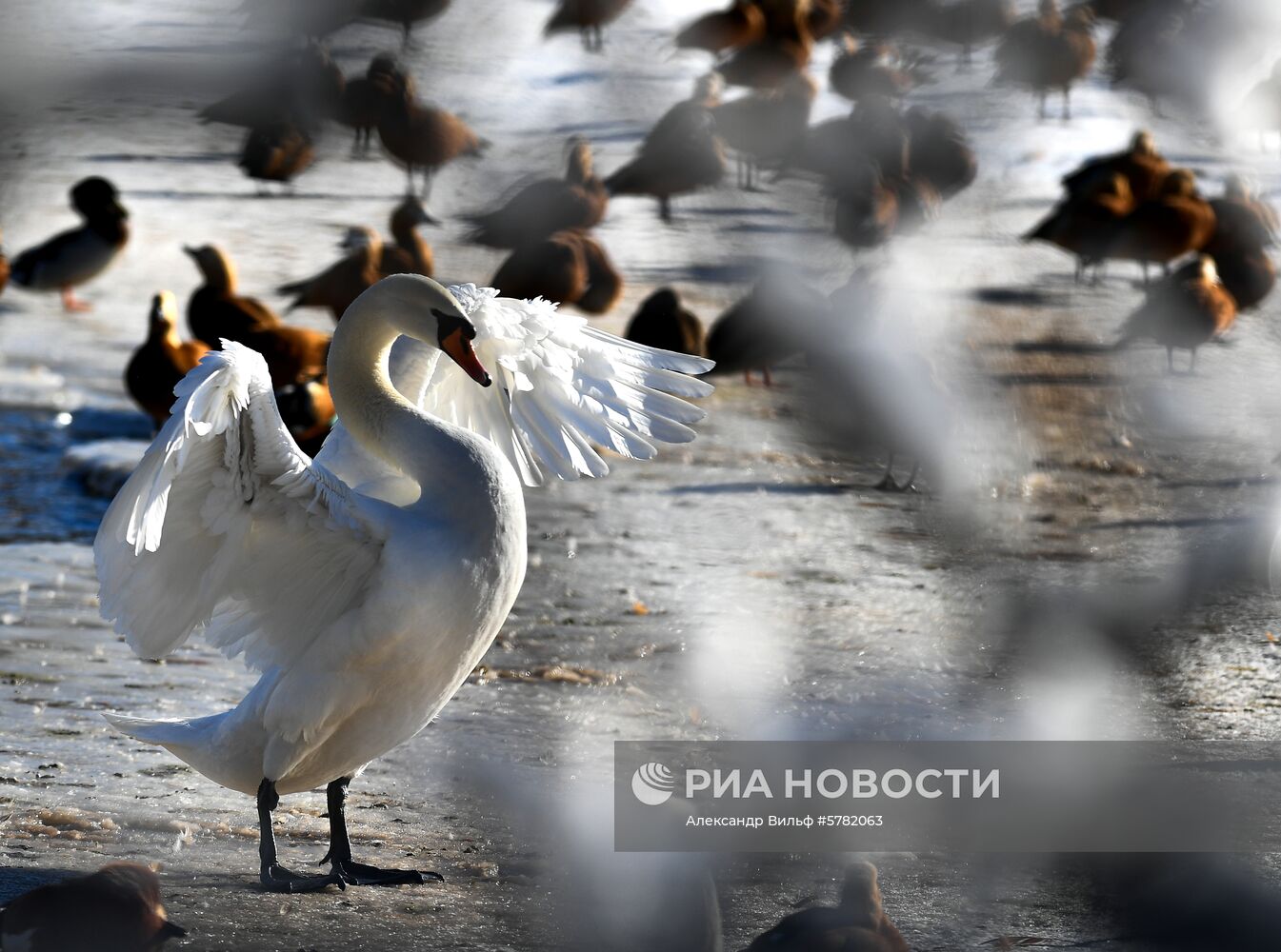 День влюбленных в природу в Московском зоопарке