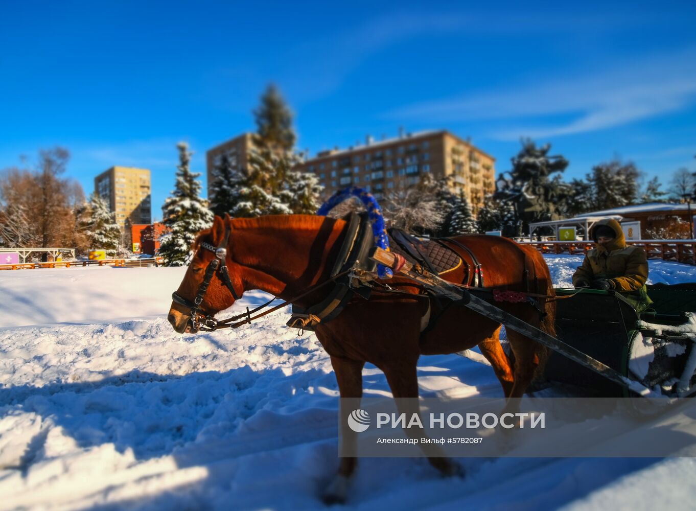 День влюбленных в природу в Московском зоопарке