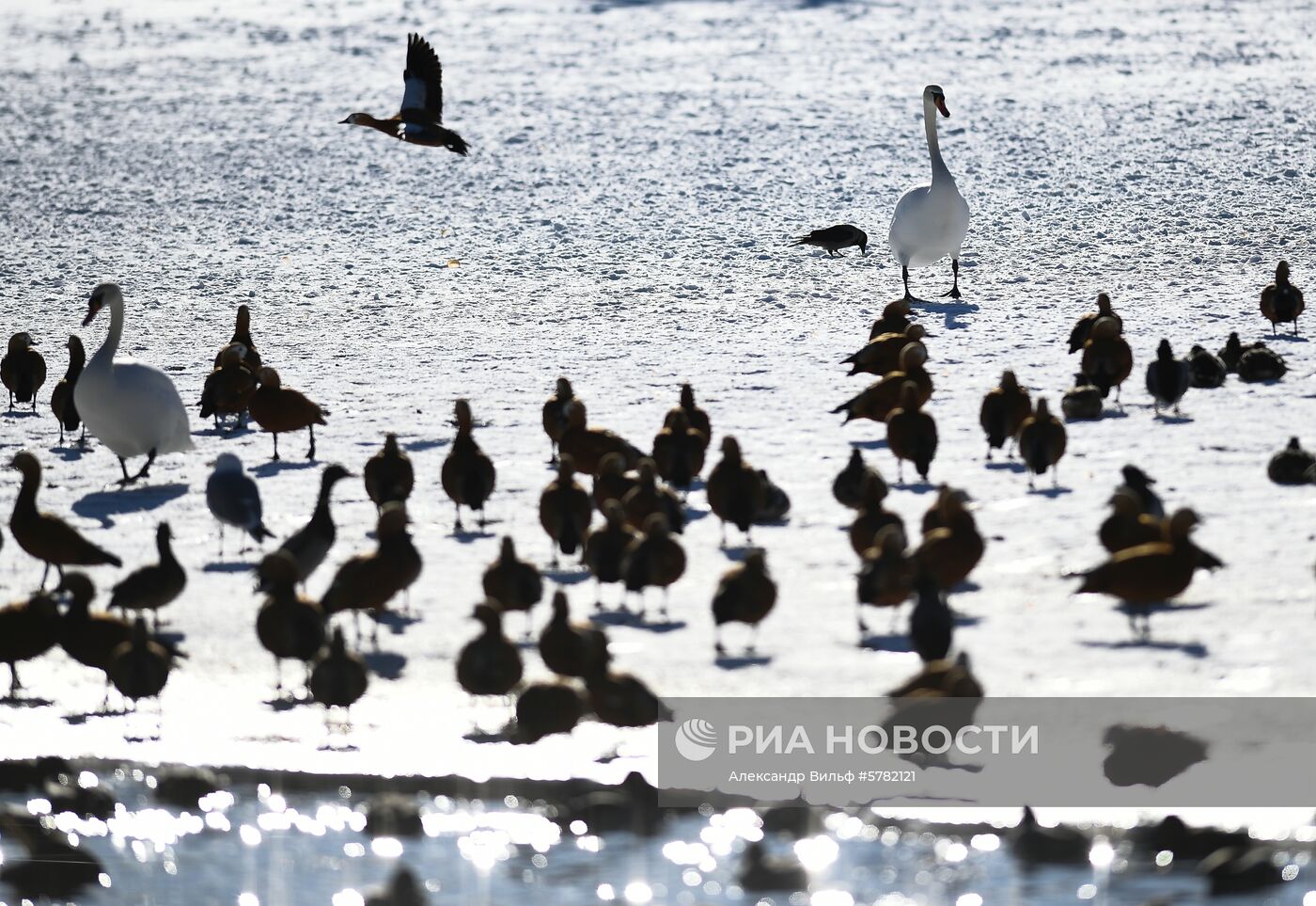 День влюбленных в природу в Московском зоопарке