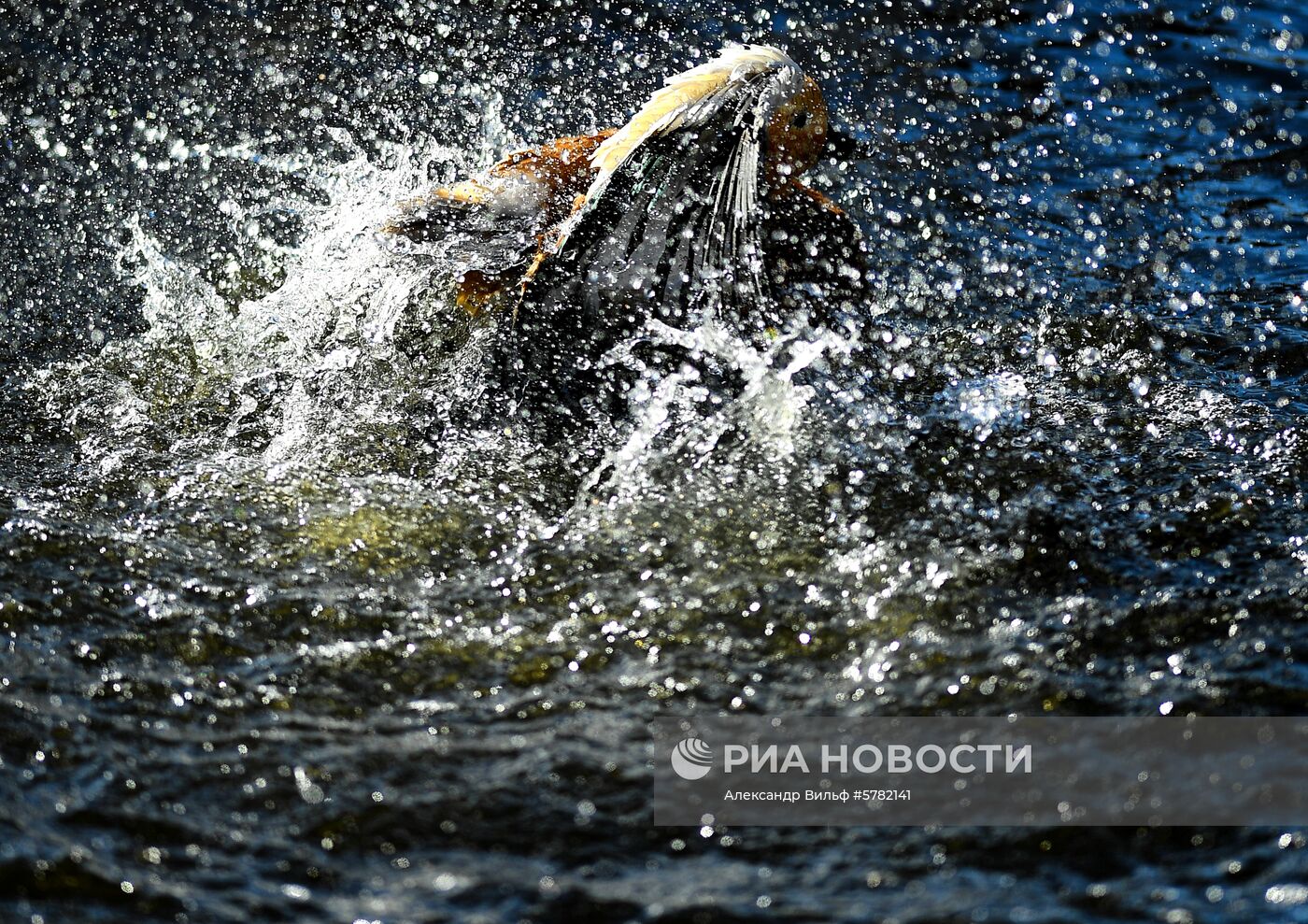 День влюбленных в природу в Московском зоопарке