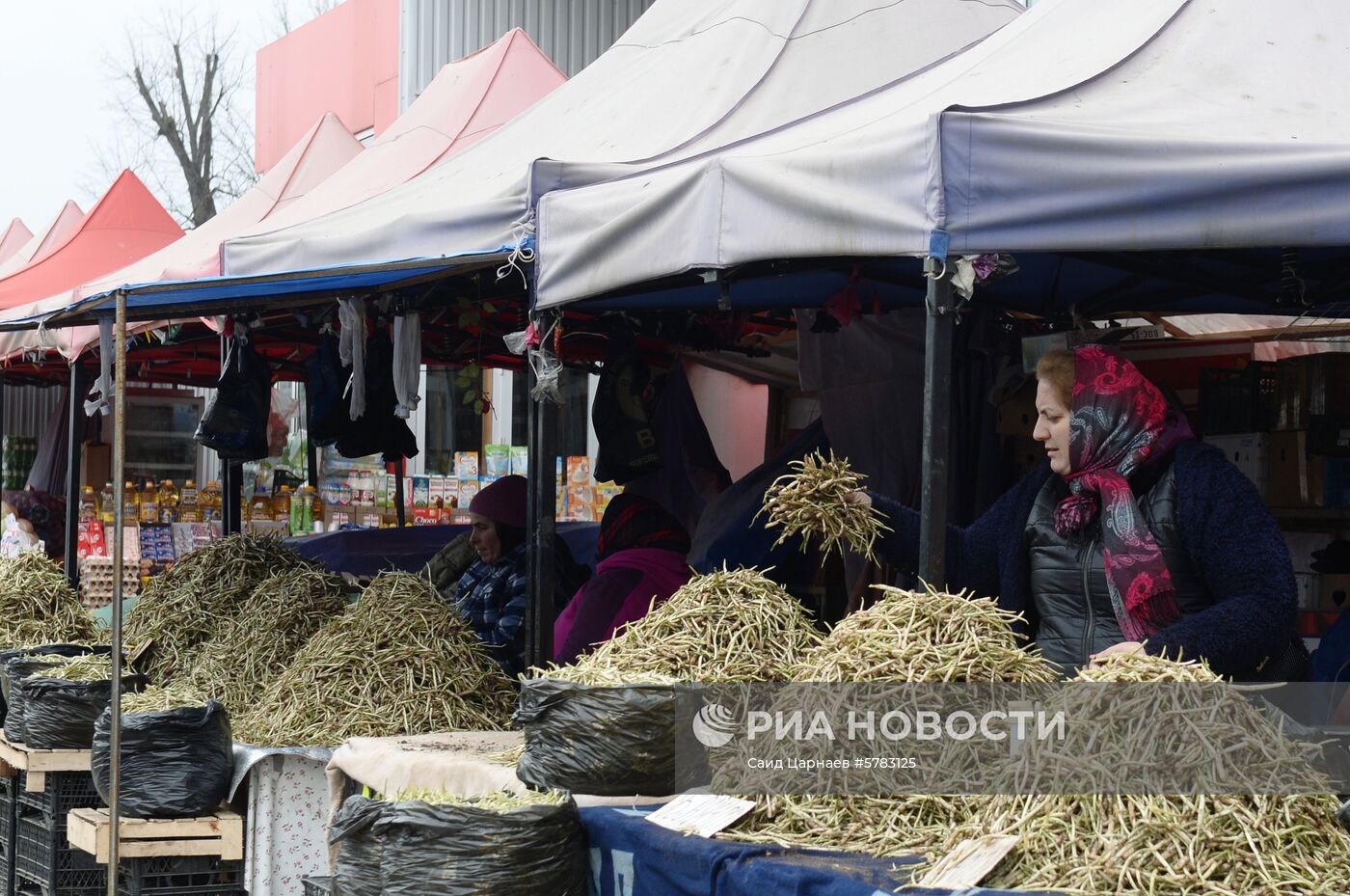 Сбор и продажа черемши в Чечне | РИА Новости Медиабанк