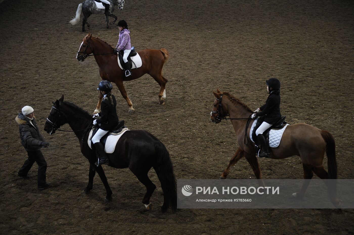 Соревнования по конкуру и выездке в Новосибирске