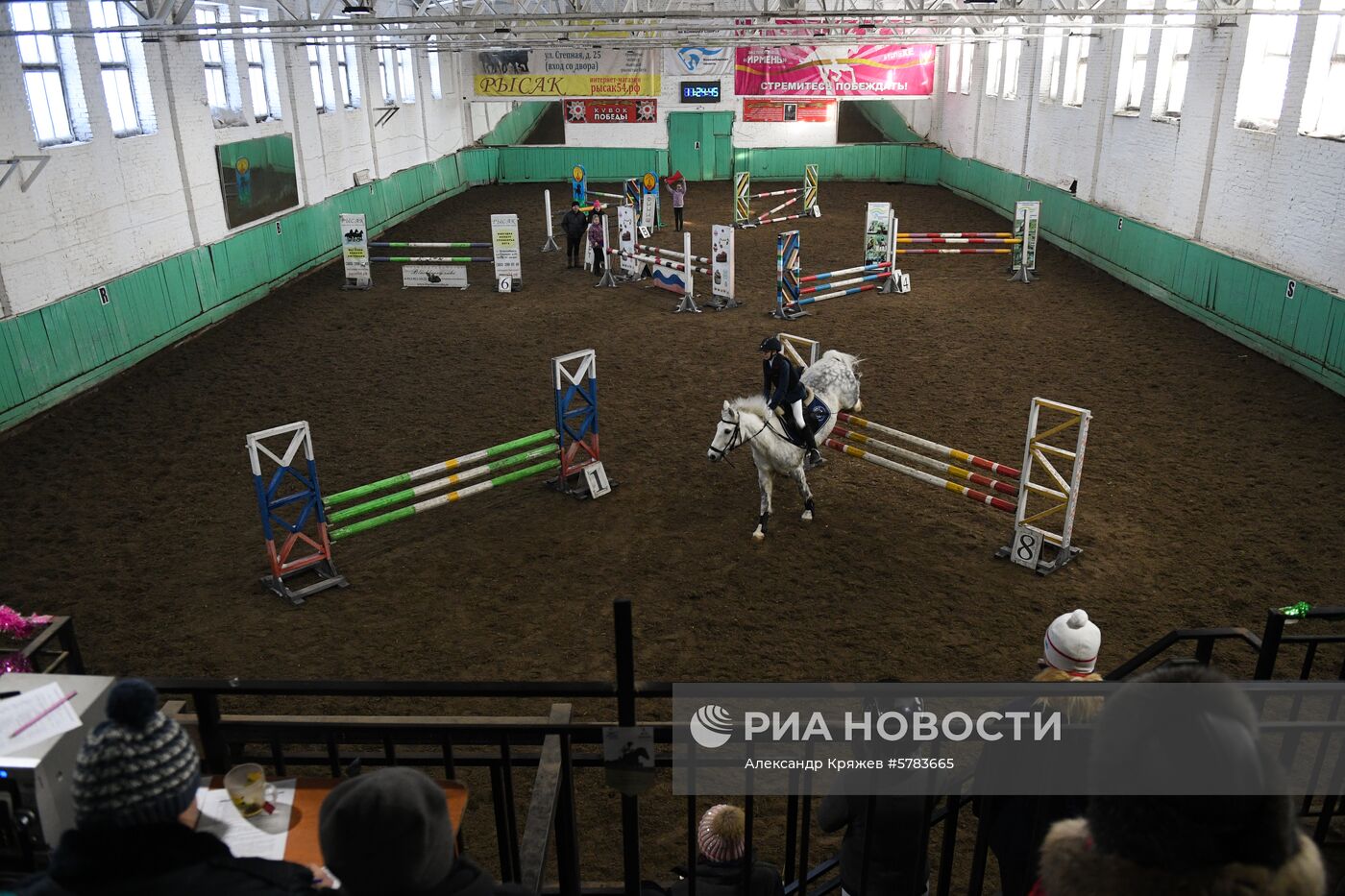 Соревнования по конкуру и выездке в Новосибирске