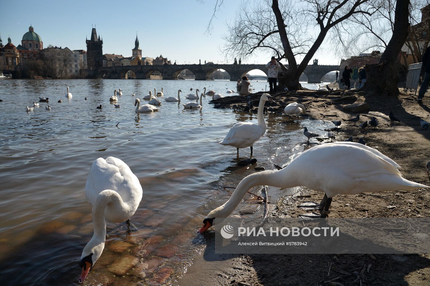 Города мира. Прага