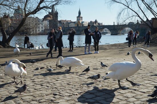 Города мира. Прага