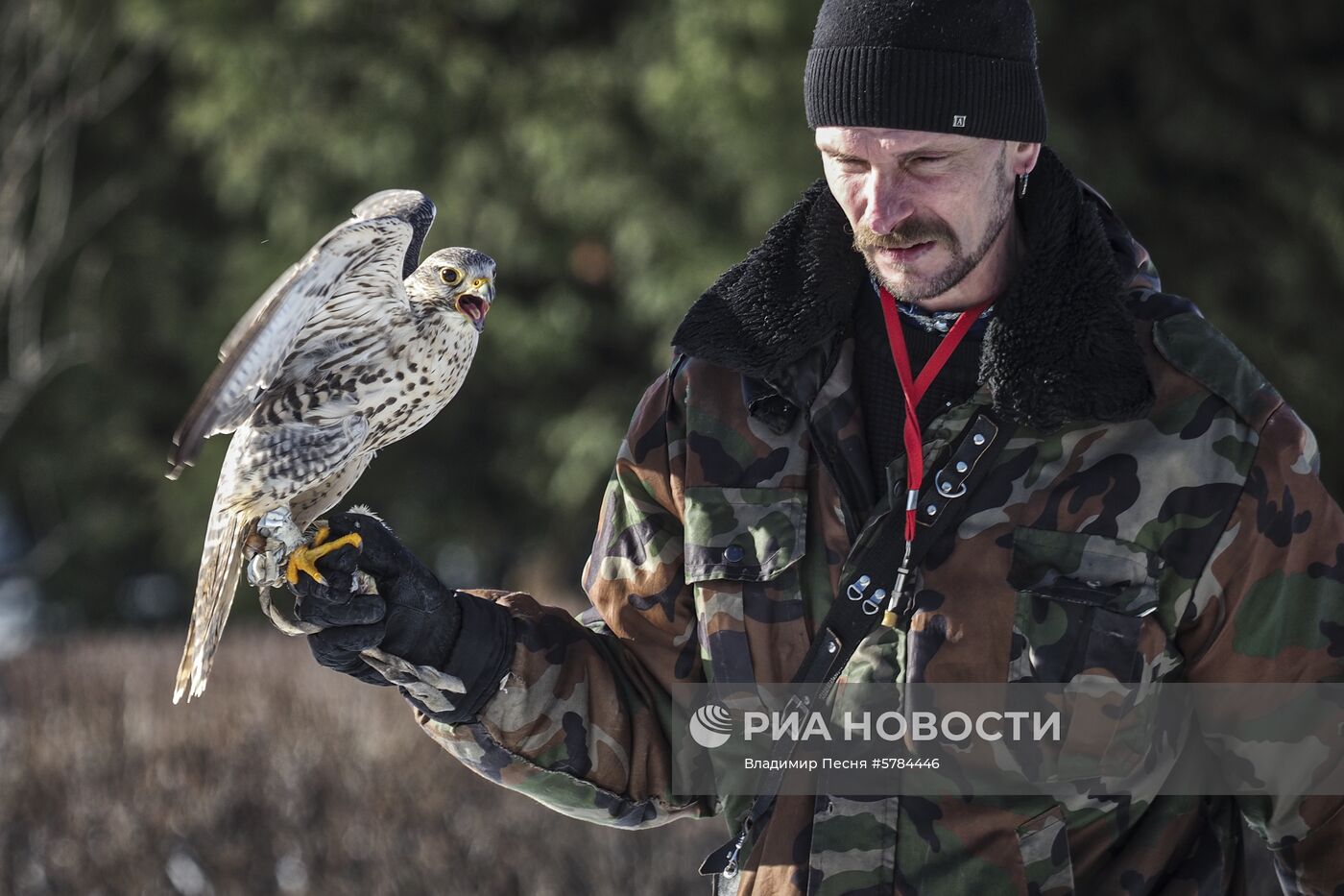 "Сокол-шоу" в парке "Сокольники"