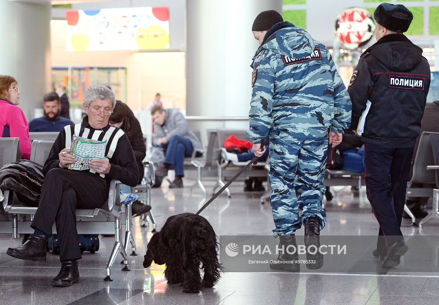 Кинолог с собакой на дежурстве в аэропорту Внуково. 18 февраля 2019 году отмечается День работников транспортной полиции. Дата приурочена к изданию декрета Всероссийским центральным исполнительным комитетом (ВЦИК) "Об организации межведомственной комиссии по охране железных дорог" 18 февраля 1919 года. Место: Россия, Москва. Автор: Евгений Одиноков/РИА Новости. Работа линейного отдела транспортной полиции аэропорта Внуково