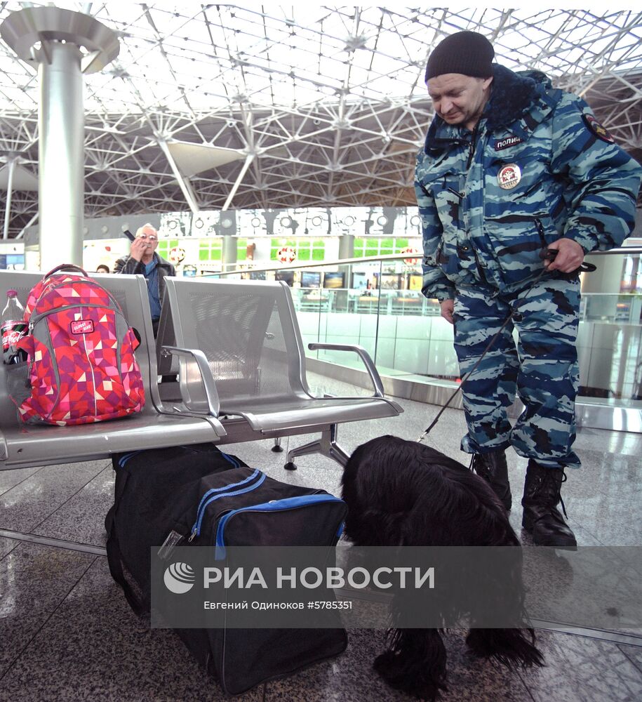 Работа линейного отдела транспортной полиции аэропорта Внуково