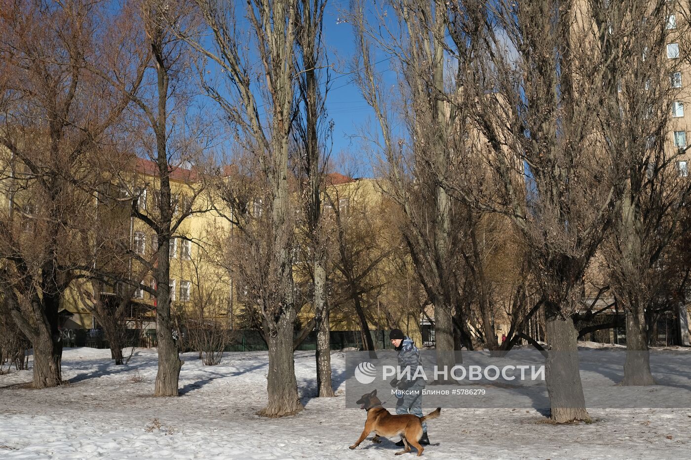 Сотрудник охранной службы с собакой на Дорогомиловской улице