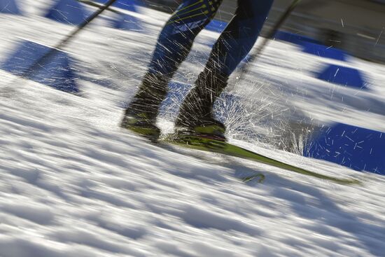 Биатлон. Чемпионат Европы. Тренировки
